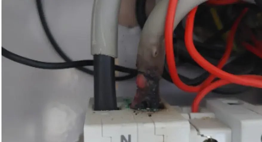 Understanding Electrical Installation Condition Reports (EICR) - Solaris Contracts Ltd, Letchworth